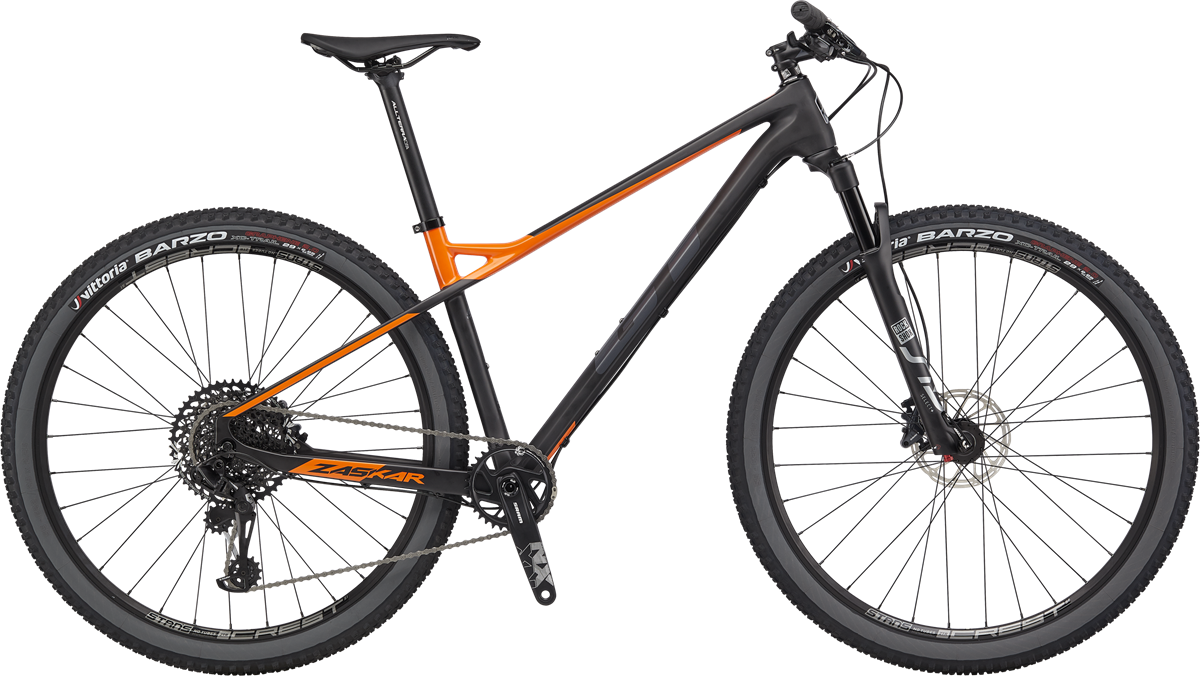 ebike with throttle and pedal assist